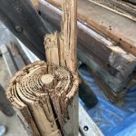 お家のシロアリ被害